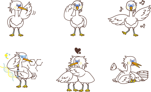 호로리 응용동작1